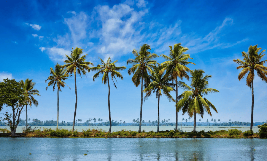 Service Provider of Beaches & Backwater Tour Kerala in New Delhi, Delhi, India.