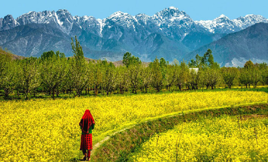 Service Provider of Explore Kashmir Tour Package in New Delhi, Delhi, India.