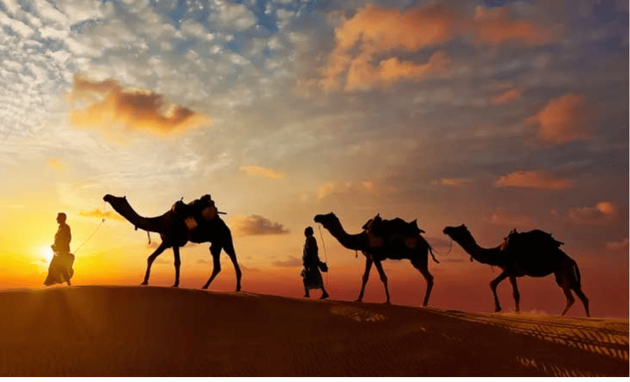 Service Provider of Rajasthan Tours in New Delhi, Delhi, India.